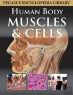 Bertrand.pt - Muscular System