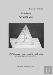 Musee In Situ Jacques Lacan - L'Effet Tableau - Concepts Analytiques Formes, En Mouvement, En Deveni