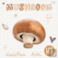 Mushroom