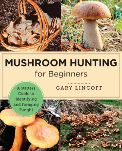 Bertrand.pt - Mushroom Hunting For Beginners