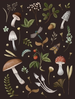 Bertrand.pt - Mushroom Lined Journal
