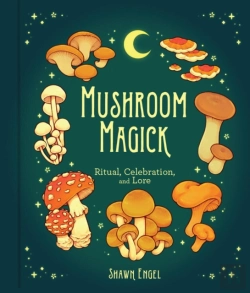 Bertrand.pt - Mushroom Magick