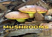 Mushrooms And Other Fungi In South Africa