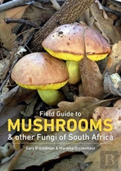 Mushrooms And Other Fungi In South Africa