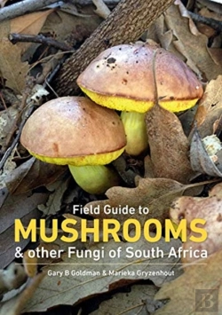 Bertrand.pt - Mushrooms And Other Fungi In South Africa