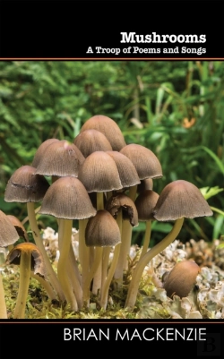 Bertrand.pt - Mushrooms