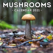 Mushrooms Calendar 2021