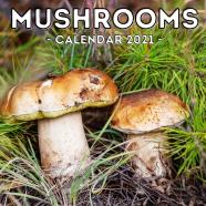 Mushrooms Calendar 2021