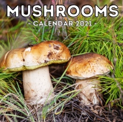Bertrand.pt - Mushrooms Calendar 2021