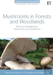 Mushrooms In Forests And Woodlands