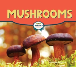 Bertrand.pt - Mushrooms