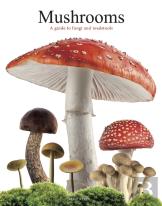 Mushrooms