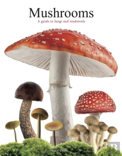Bertrand.pt - Mushrooms