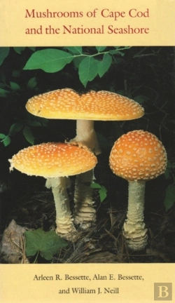 Bertrand.pt - Mushrooms Of Cape Cod And The National Seashore