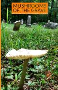 Mushrooms Of The Grave