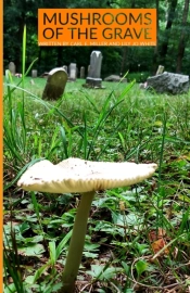 Mushrooms Of The Grave
