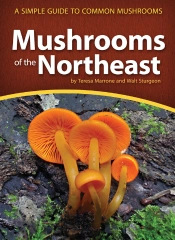 Mushrooms Of The Northeast