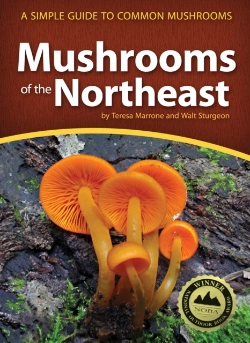 Bertrand.pt - Mushrooms Of The Northeast