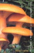 Mushrooms Of West Virginia And The Central Appalachians