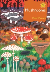 Mushrooms