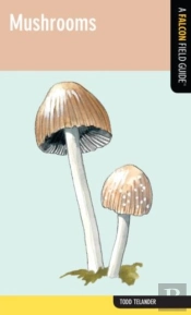 Mushrooms