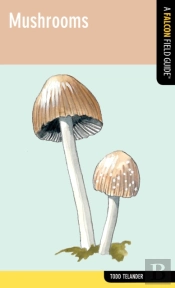 Mushrooms