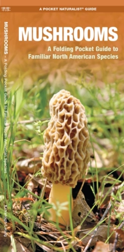Bertrand.pt - Mushrooms