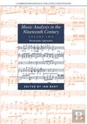 Music Analysis In The Nineteenth Century: Volume 2, Hermeneutic Approaches