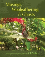 Musings, Woolgathering,  Amp  Ghosts: Po