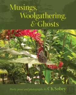 Bertrand.pt - Musings, Woolgathering,  Amp  Ghosts: Po