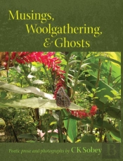 Musings, Woolgathering,   Ghosts: Poetic
