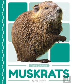 Bertrand.pt - Muskrats