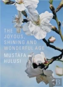 Mustafa Hulusi