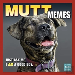 Bertrand.pt - Mutt Memes