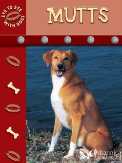 Bertrand.pt - Mutts