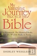 My Amazing Journey Through The Bible