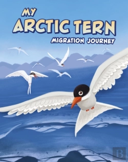 Bertrand.pt - My Arctic Tern Migration Journey