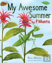 My Awesome Summer By P. Mantis