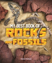 My Best Book Of Rocks And Fossils