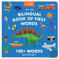 My Big Bilingual Book Of First Words