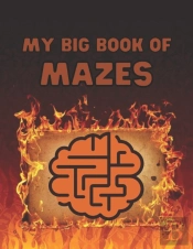 My Big Book Of Mazes