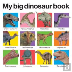 My Big Dinosaur Book
