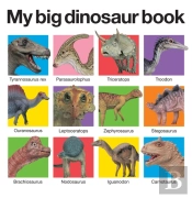 My Big Dinosaur Book