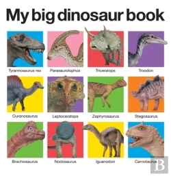 Bertrand.pt - My Big Dinosaur Book
