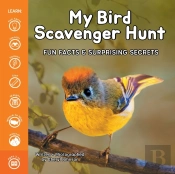 My Bird Scavenger Hunt