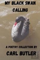 My Black Swan Calling