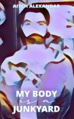 My Body Is A Junkyard
