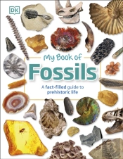 My Book Of Fossils