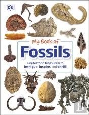 My Book Of Fossils