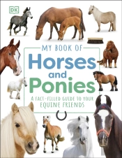 My Book Of Horses And Ponies